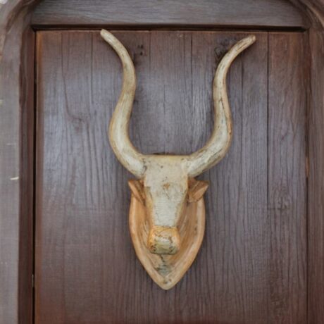 Wooden Carved Cow head Off white